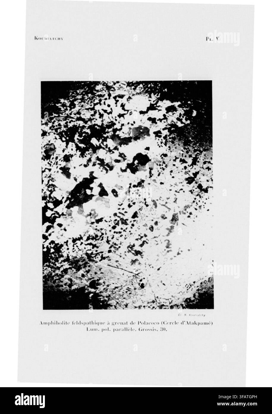 Amfibolite feldsparica con granato di Polacoco, un esemplare geologico del Cercle d'Atakpamé, vista sotto luce polarizzata parallela, ingrandita 30 volte, come studiata. Foto Stock