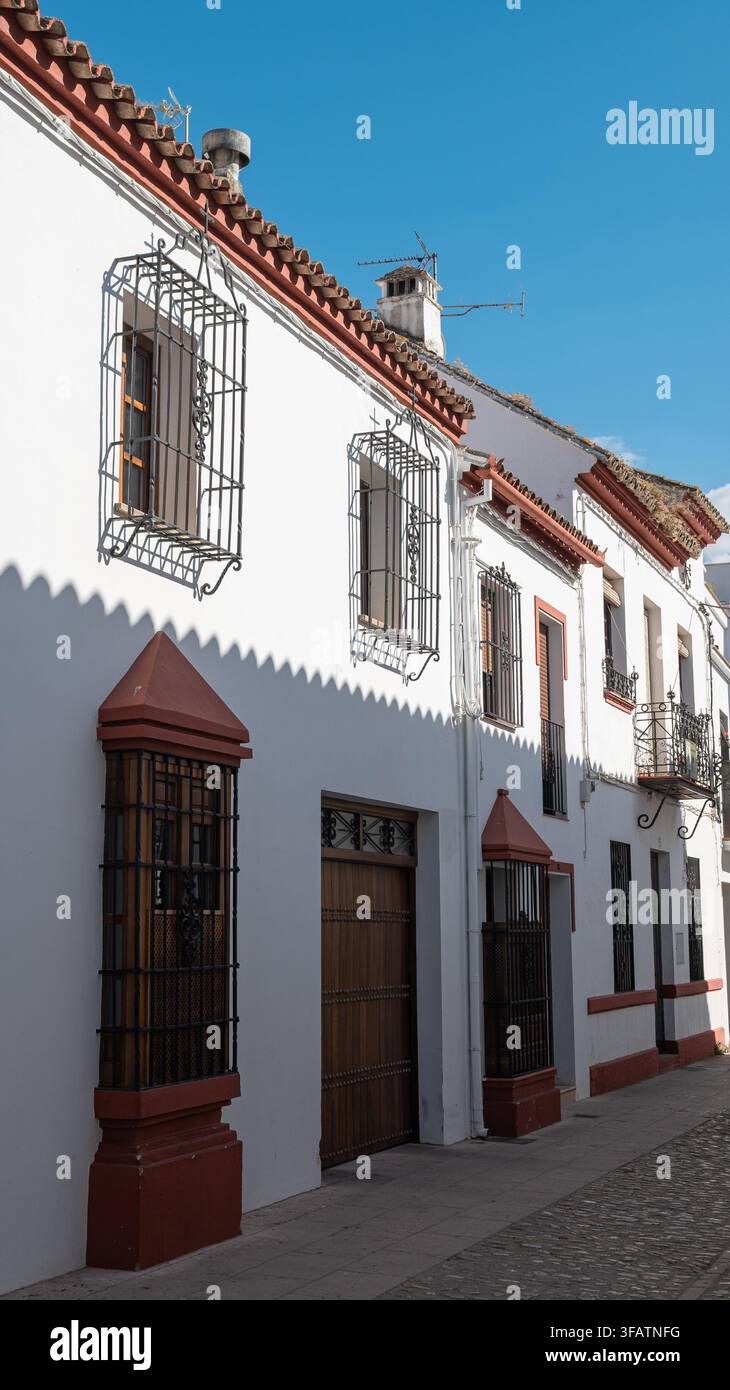Fotografia verticale di strada e architettura tradizionale delle case bianche del villaggio di Ronda, Andalusia, Spagna Foto Stock