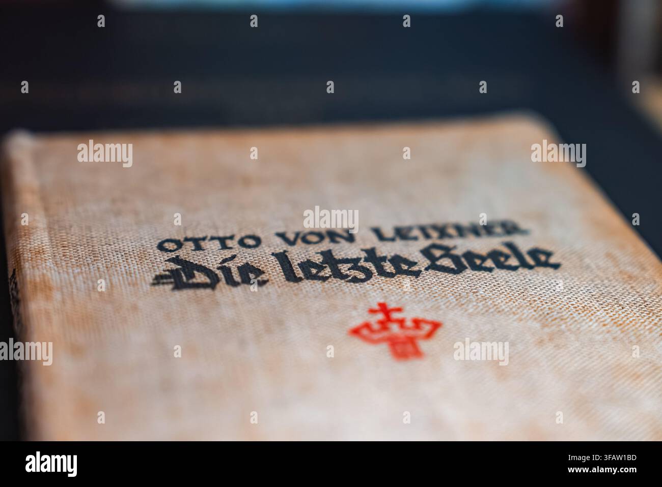 Antica copertina di libro tedesco intitolata Die letzte Seele su un tavolo Foto Stock