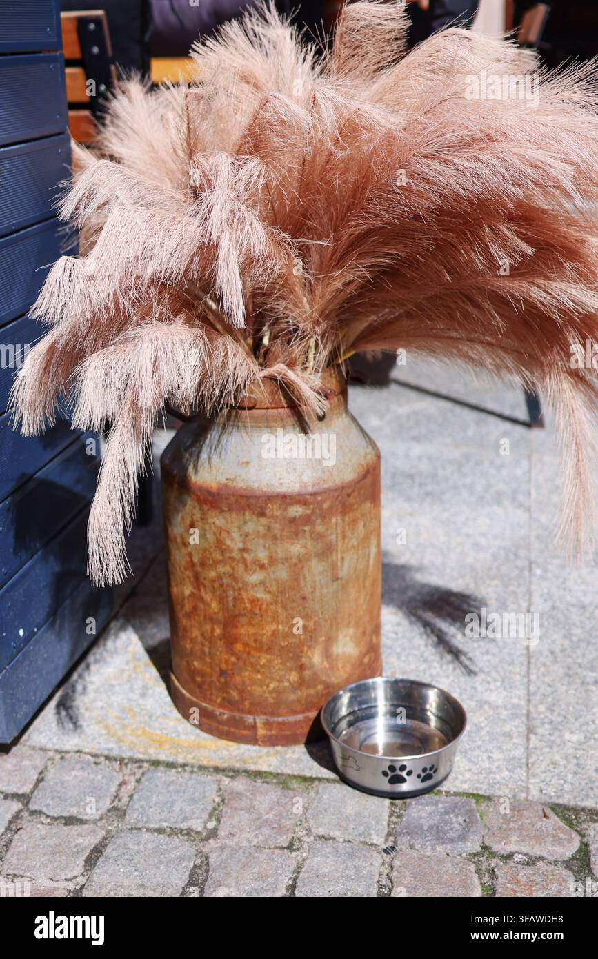 Erba pampas essiccata decorativa in una vaso metallico rustico all'aperto, che crea un arrangiamento naturale in stile boho. Foto Stock