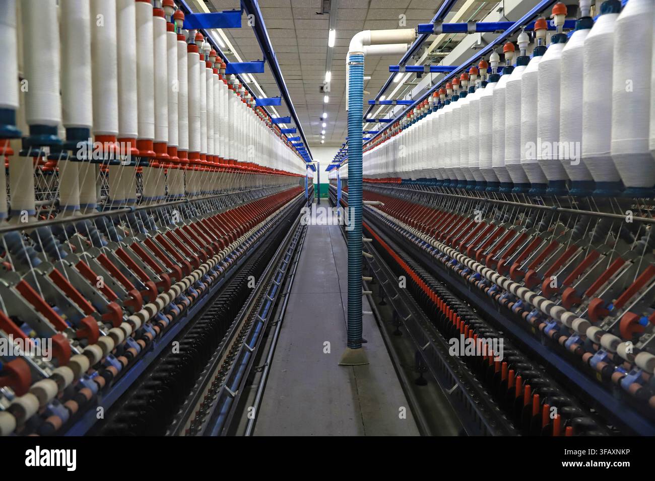 Linea di produzione di grandi macchine per la filatura all'interno di una fabbrica tessile, con fusi e attrezzature disposti ordinatamente che formano una scena industriale simmetrica, s Foto Stock