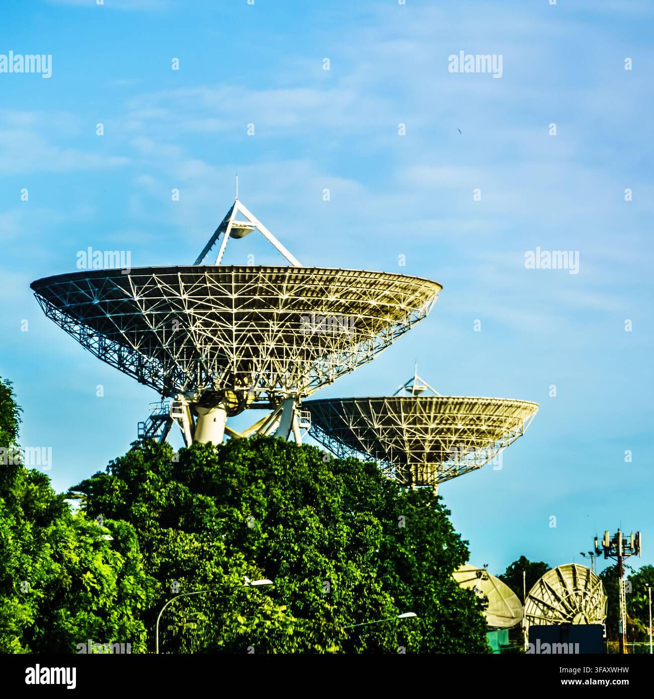 Due grandi antenne satellitari di telecomunicazione si ergono sopra le cime degli alberi verdi lussureggianti contro un cielo blu terso. Foto Stock