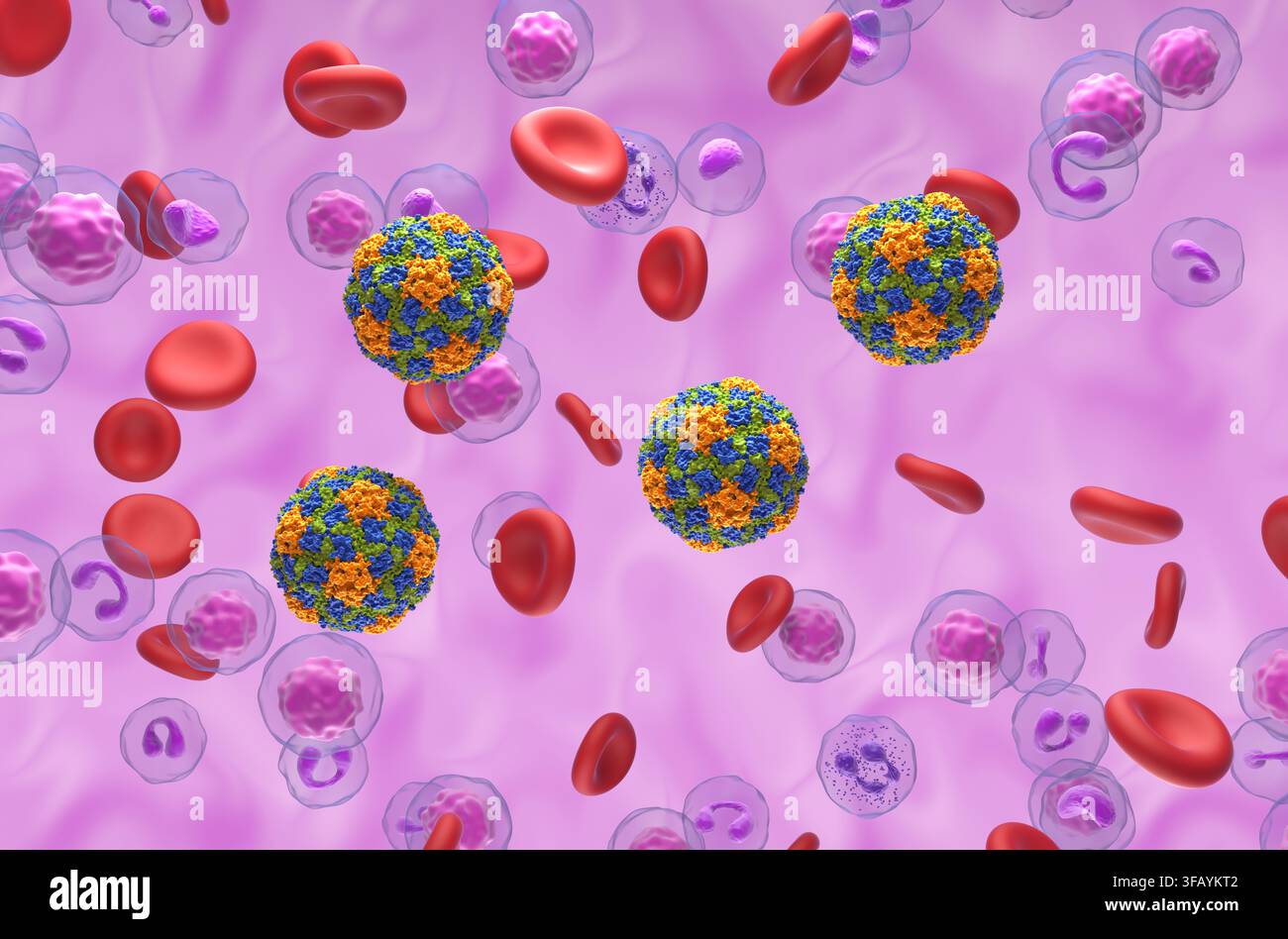 Virus dell'epatite A (HAV) - illustrazione 3D isometrica Foto Stock