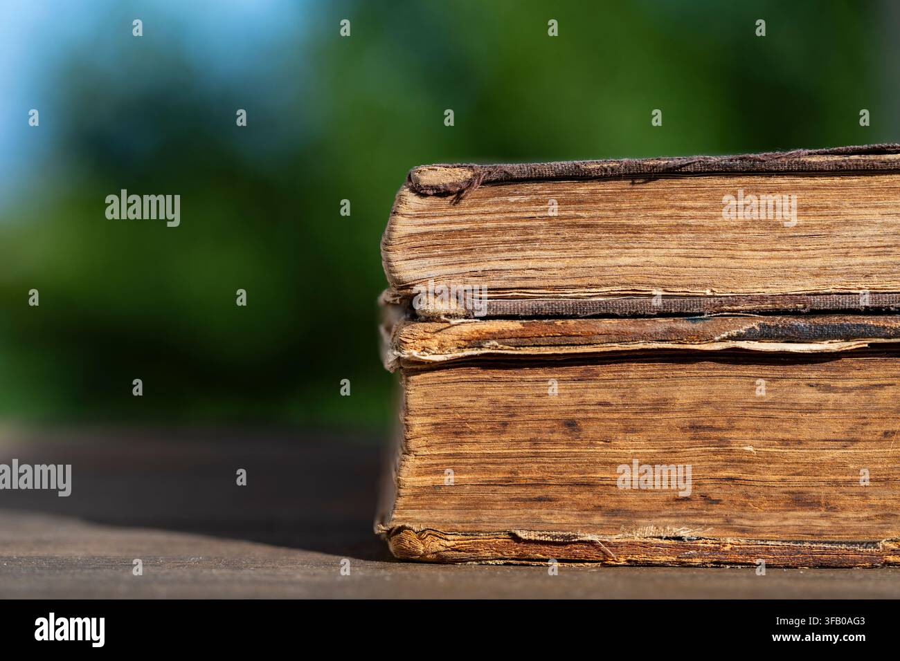 Prima piano di due vecchi libri antichi consumati impilati su un tavolo di legno con sfondo naturale verde morbido e sfocato Foto Stock