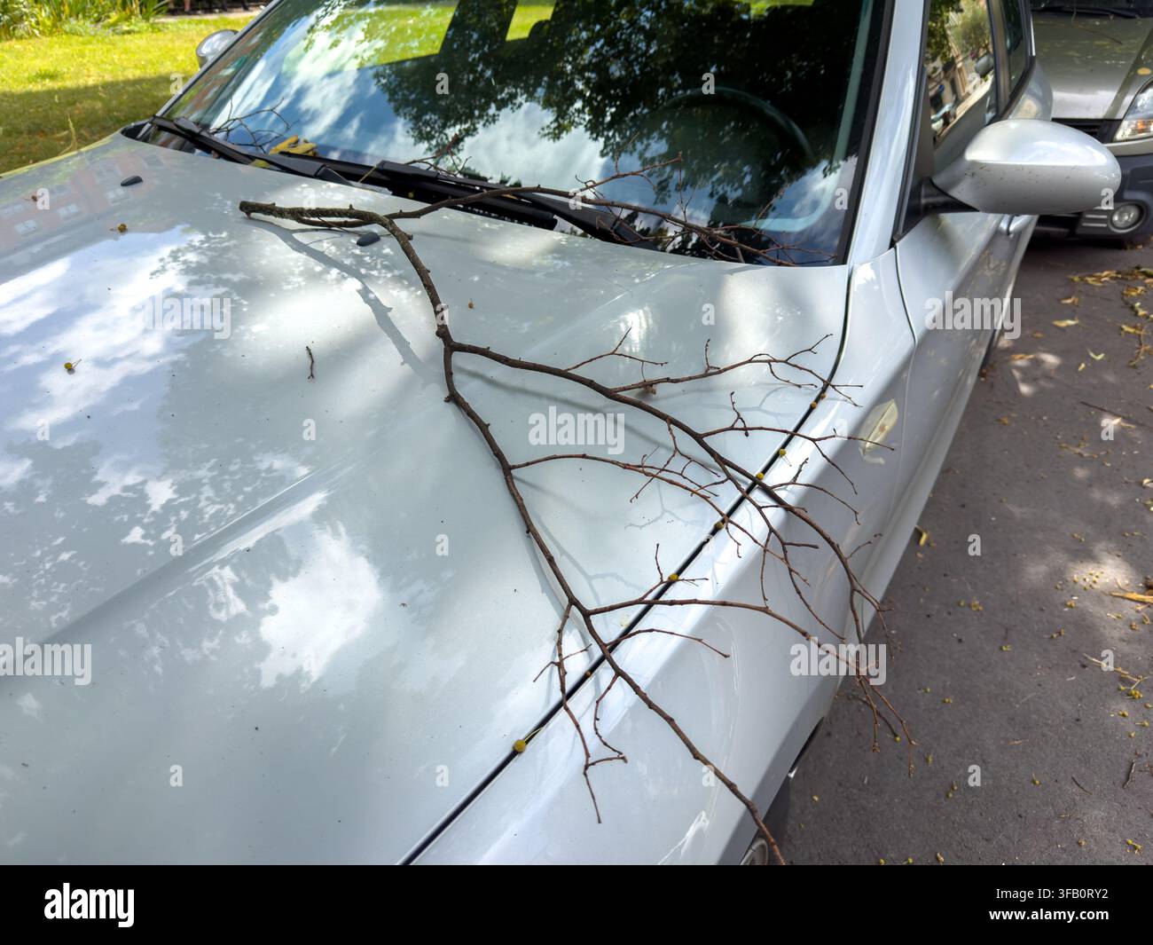 Ramo d'albero caduto che danneggia un'auto dopo una tempesta – Concetto di assicurazione parziale e danni da tempesta Foto Stock