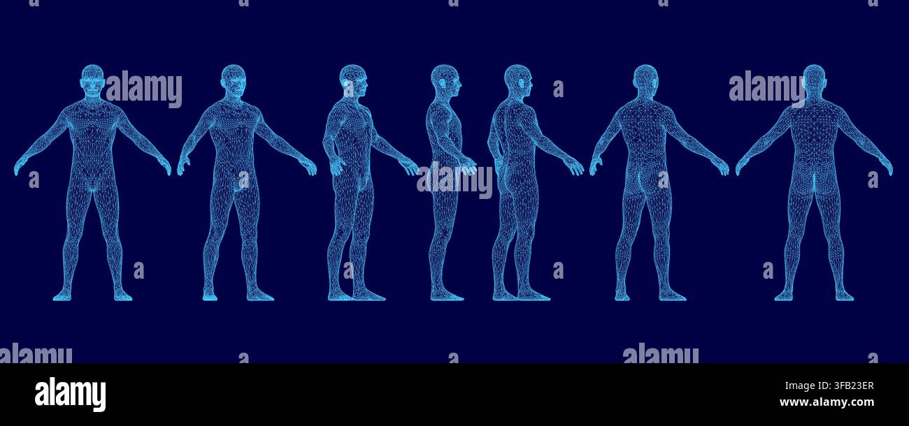 Personaggio maschile realistico in wireframe raffigura l'evoluzione umana attraverso una serie di pose su uno sfondo blu. Il disegno anatomico dettagliato evidenzia Illustrazione Vettoriale