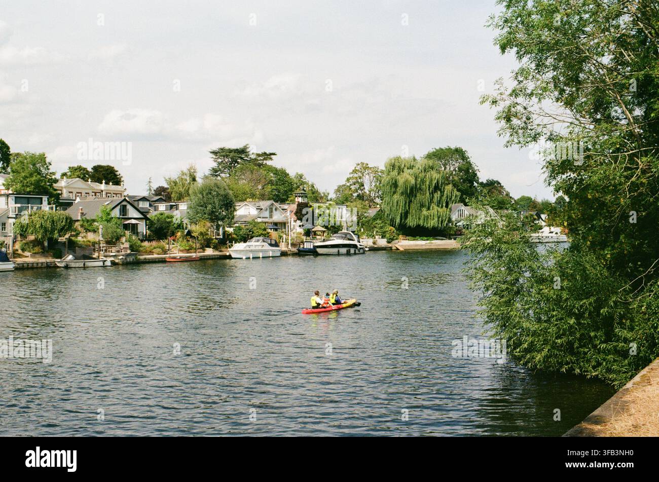 Il Tamigi vicino a Sunbury, Surrey, Inghilterra, con case lungo la riva Foto Stock