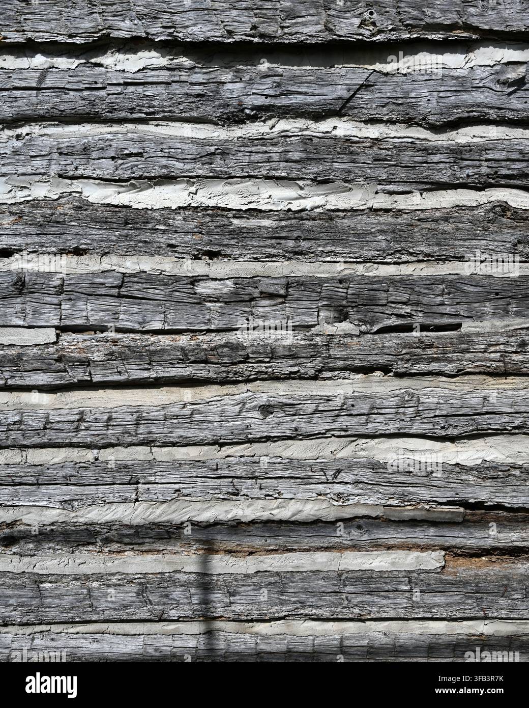 Vista verticale di un muro di capanna in tronchi piatti invecchiato con legno poroso e screpolato, stucco spesso e poroso che riempie le fessure Foto Stock