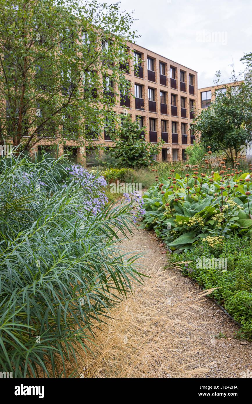 Un giardino cortile urbano come tetto di un parcheggio alla Meelfabriek di Leiden presenta moderni blocchi di appartamenti in mattoni, piantagioni autoctone, ornamenta Foto Stock