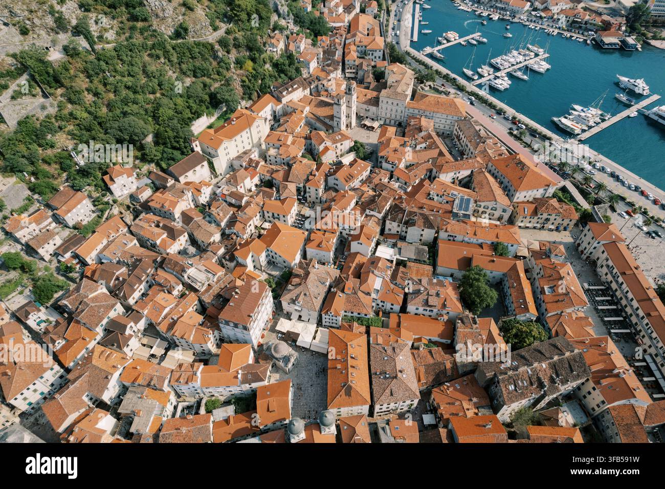 Vista aerea della città vecchia di Cattaro e del porticciolo in Montenegro Foto Stock