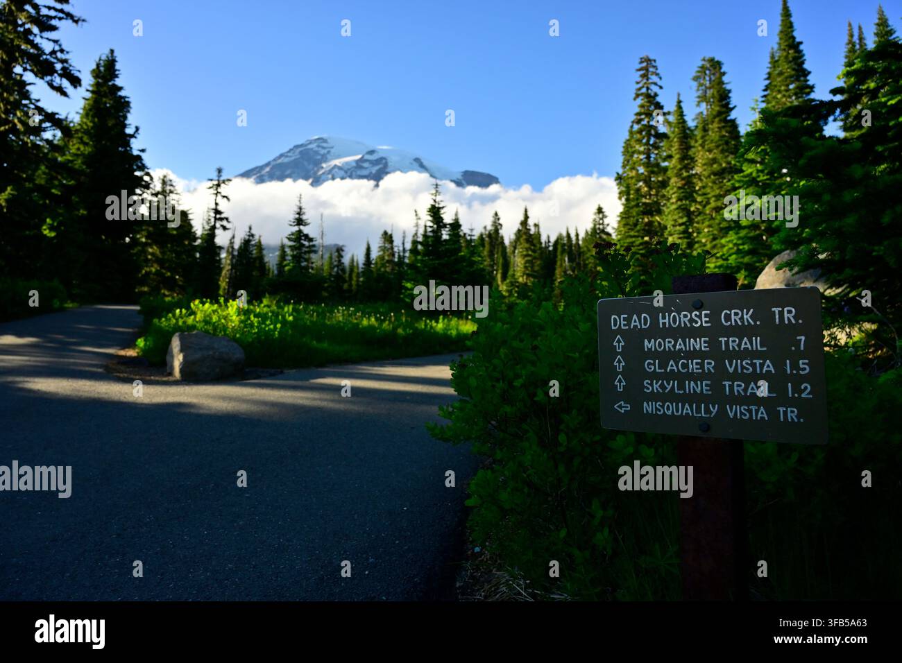 Segnale stradale che indica i sentieri Skyline e Nisqually Vista con una vista del Monte Rainier coperto di neve che sbuca tra le nuvole, Washington, USA. Foto Stock