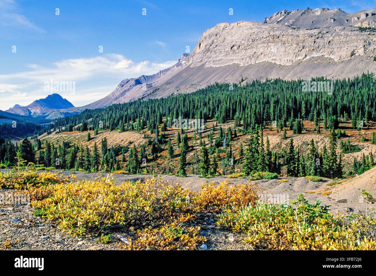Paesaggio montano con colori autunnali in una giornata autunnale soleggiata Foto Stock