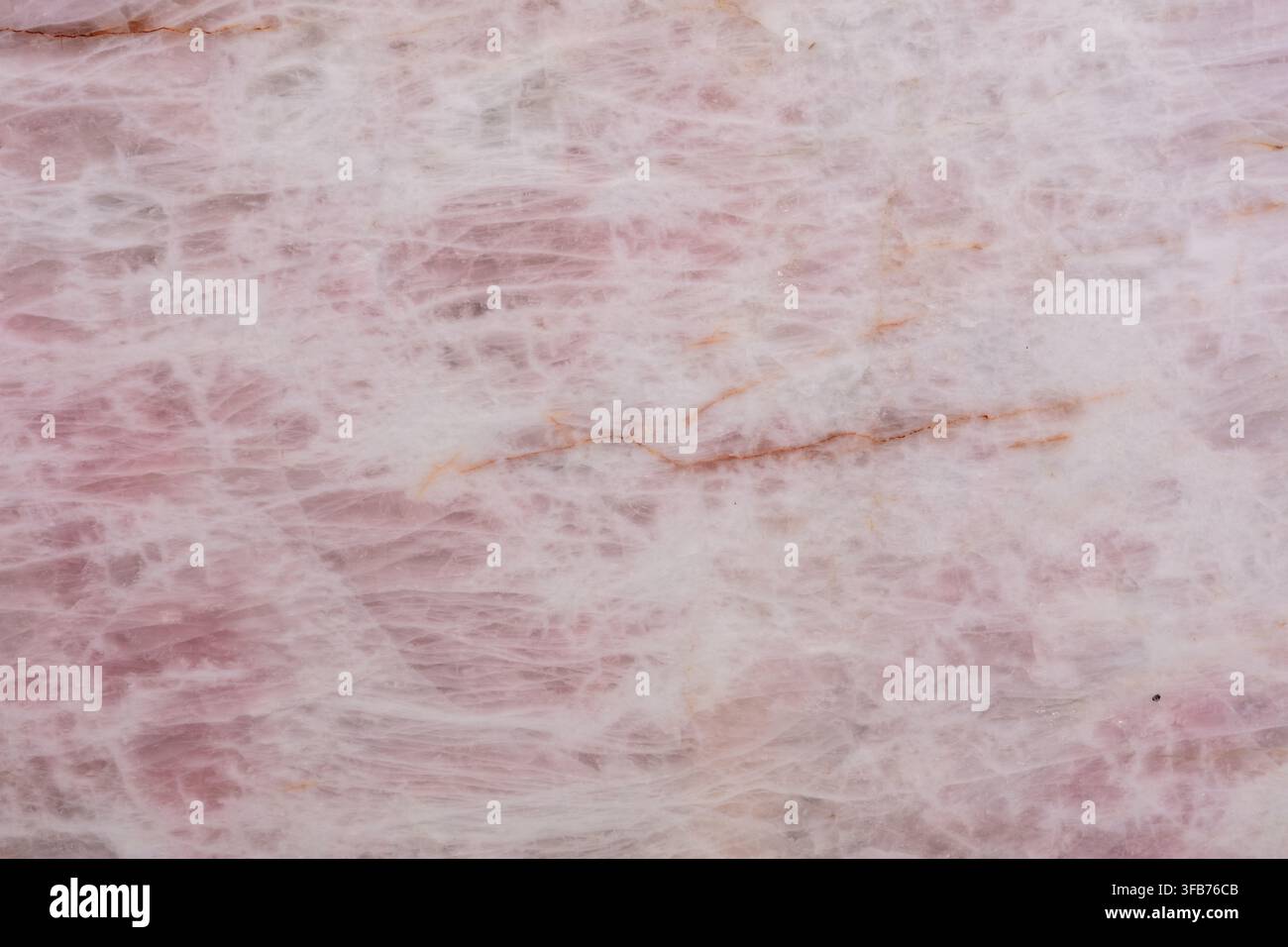 Primo piano di una lastra di quarzite rosa levigata che mostra morbidi motivi cristallini rosa e sottili venature color ruggine, uno sfondo a trama di pietra naturale per Foto Stock
