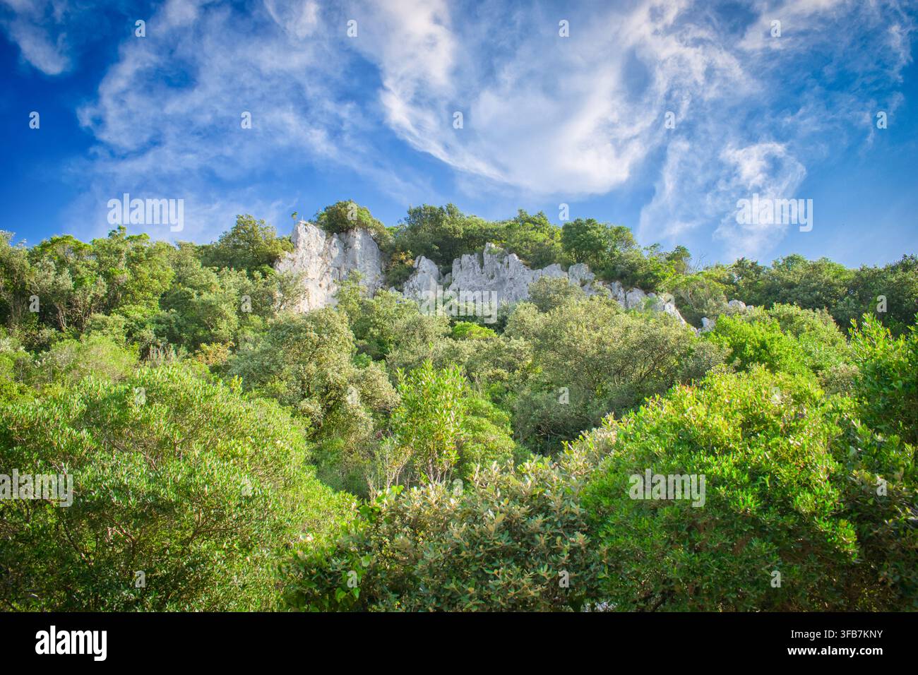 Formazione rocciosa circondata da alberi sul monte Buciero vicino alla città di Santoña, Spagna Foto Stock