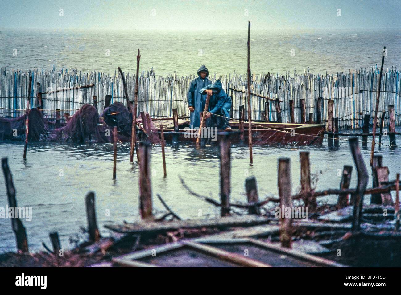Pescatori di anguille in impermeabili al lavoro tra trappole per pesci tradizionali in giunchi in una laguna costiera nebbiosa. Divjakë, Laguna di Karavasta, Contea di Fier, Albania, Europa Foto Stock