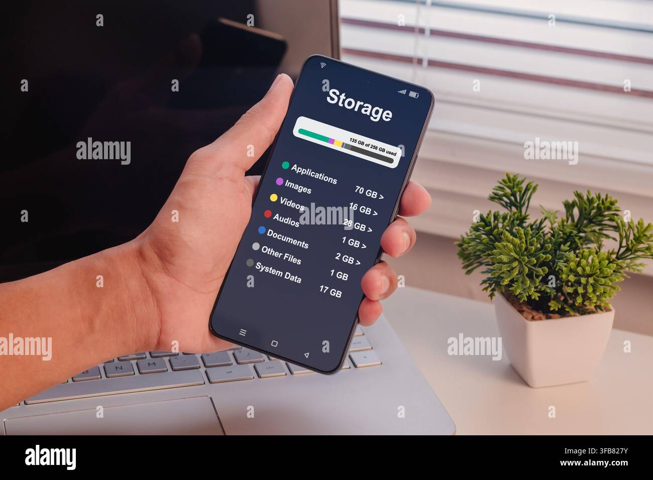Un uomo che tiene uno smartphone con un menu che mostra la suddivisione dello spazio di archiviazione Foto Stock