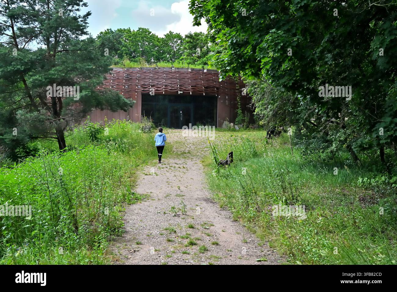 Una donna solitaria che cammina lungo un sentiero invaso dalla vegetazione verso un edificio espositivo con facciata in legno moderna, incastonato in una foresta verde – "Kumak" Urwitałt. Foto Stock