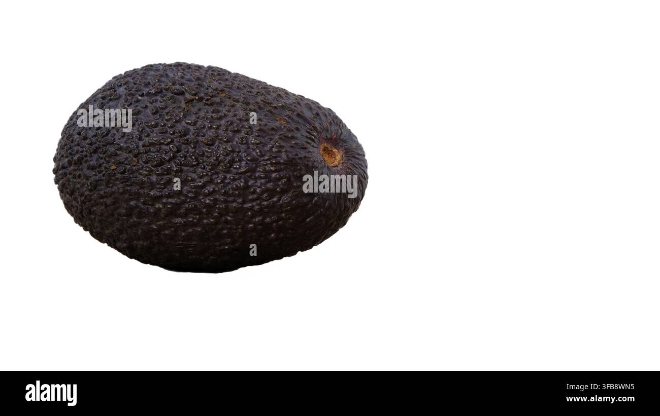 Immagine ravvicinata di un intero avocado Hass fresco e maturo isolato su uno sfondo bianco solido Foto Stock