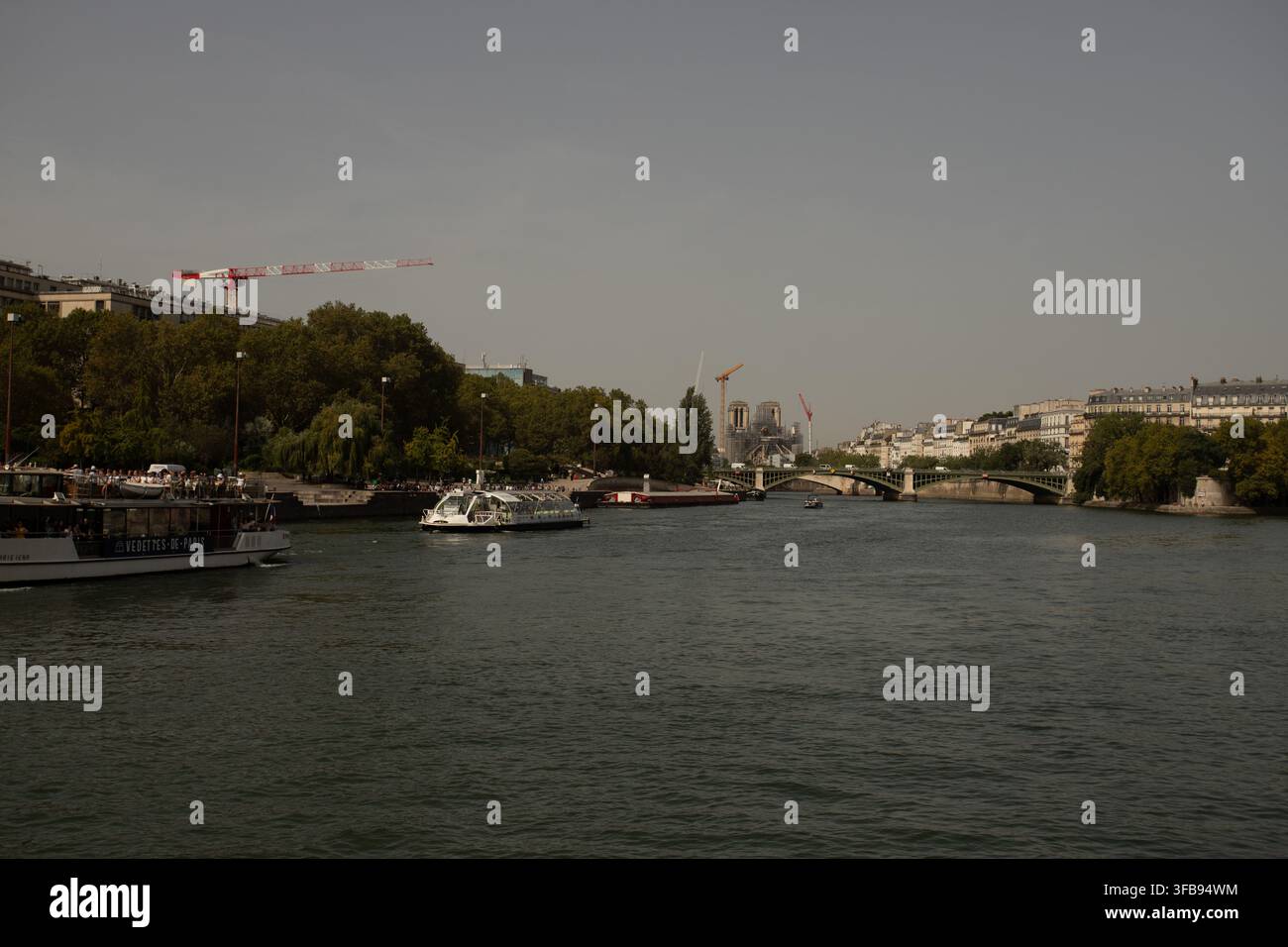 Parigi dalla crociera fluviale Foto Stock