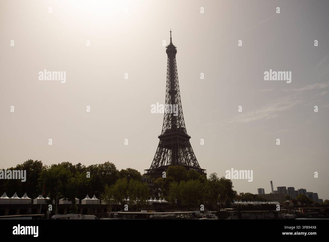 Torre Eiffel, Parigi, Francia Foto Stock