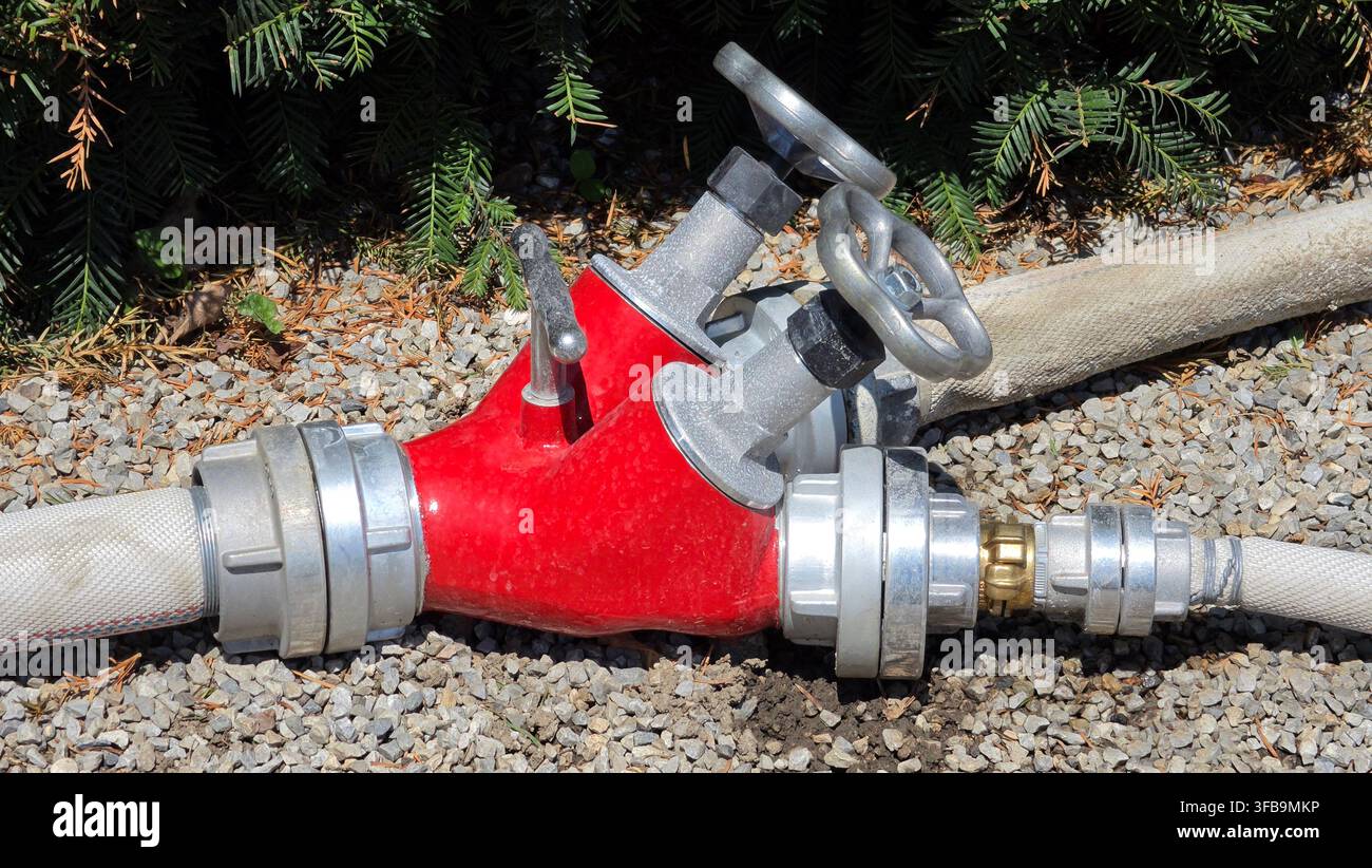 Una valvola a Y per tubo antincendio in metallo verniciato di rosso collegata a tubi in tela bianca si trova su un terreno di ghiaia grigia con un siepe di Taxus baccata verde sullo sfondo Foto Stock