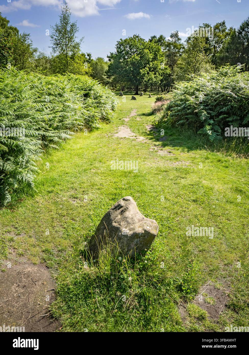 La pietra del Re, vicino al cerchio di pietre delle Nove Signore su Stanton Moor, nel Peak District del Derbyshire. Foto Stock