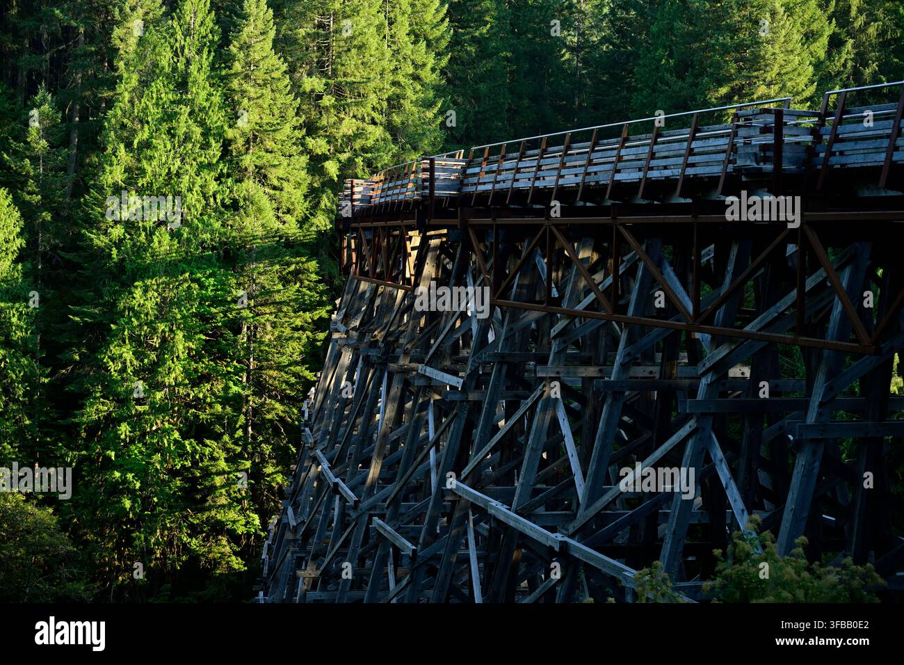 Una vasta vista orizzontale del storico Kinsol Trestle che mostra la sua enorme struttura di supporto in legno contro una fitta foresta, lago Shawnigan, BC. Foto Stock