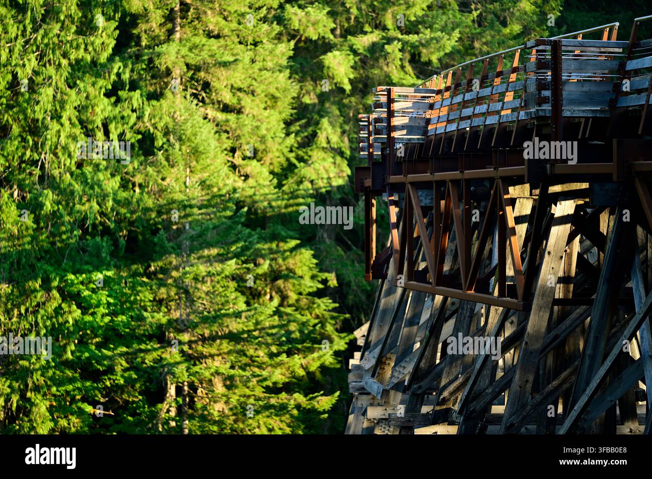Una vista laterale del Kinsol Trestle storico che evidenzia la sua passerella in legno e il sistema di supporto a traliccio in acciaio, Shawnigan Lake, BC, Canada. Foto Stock