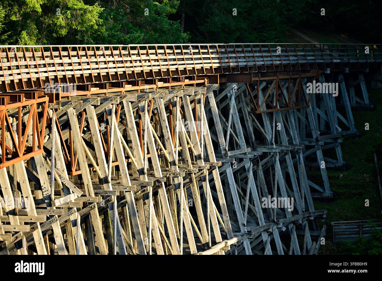 Una vista laterale del Kinsol Trestle storico che mostra la sua intricata struttura in legno e architettura lignea a Shawnigan Lake, BC, Canada. Foto Stock