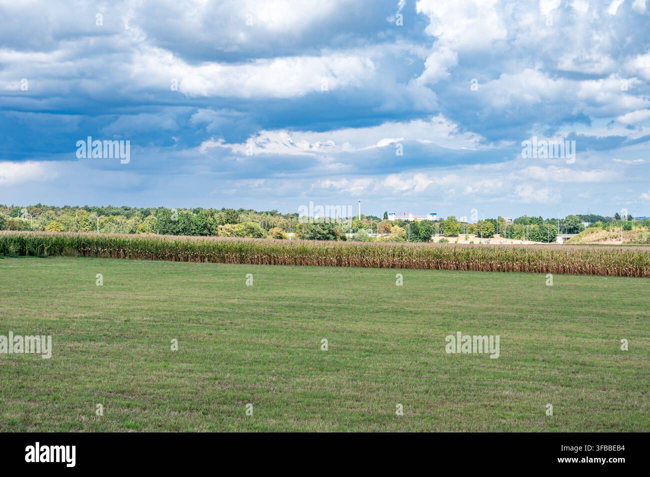 Un campo di mais maturo e una prateria a Haasrode con l'ex sito industriale Philips visibile in lontananza. Il sito è ora in gran parte occupato dal governo Foto Stock
