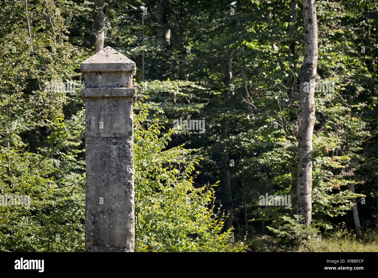 Il camino risale alla Prima Guerra Mondiale ed è un residuo delle strutture militari asburgiche. Camini, Lavarone, Trentino, Italia. Foto Stock