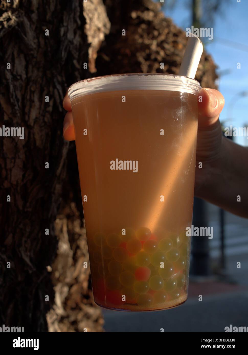 Tazza di bubble tea tenuta contro un albero al tramonto Foto Stock