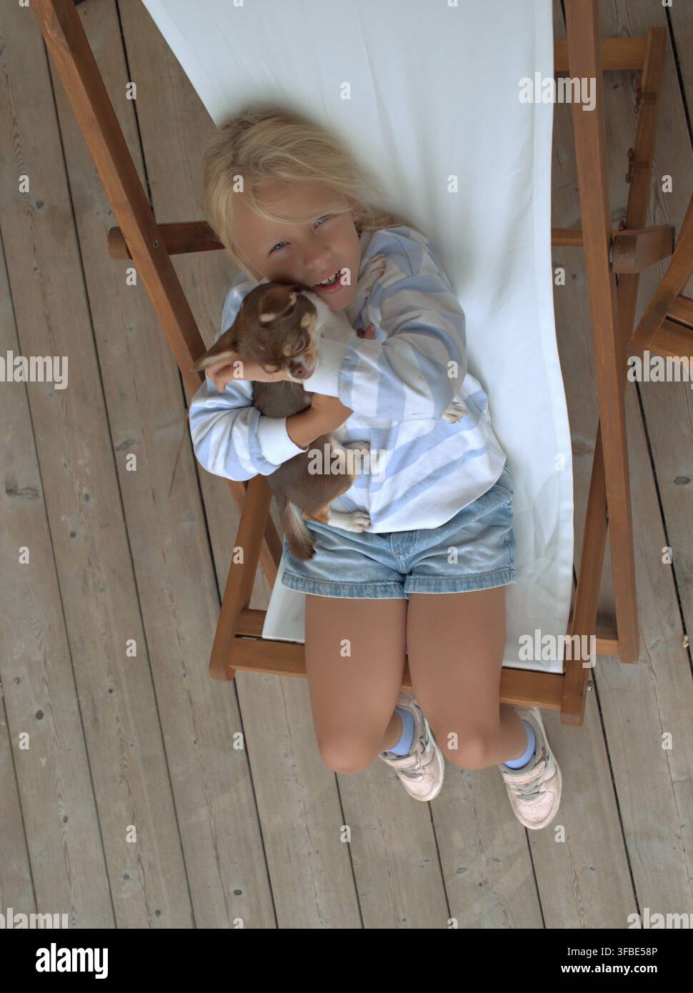 Ragazza che ride abbraccia un chihuahua in una sdraio vista dall'alto Foto Stock