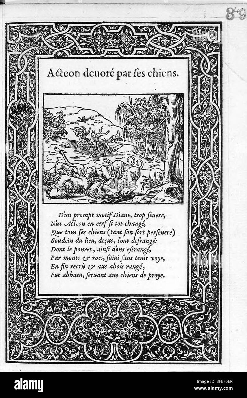 Una pagina di un libro del 1557 con una poesia e un'illustrazione di Attone, figura della mitologia greca, che fu divorato dai suoi stessi cani, con il testo che descrive la scena in cui Diana trasformò Attone in un cervo, portando alla sua fine. Foto Stock