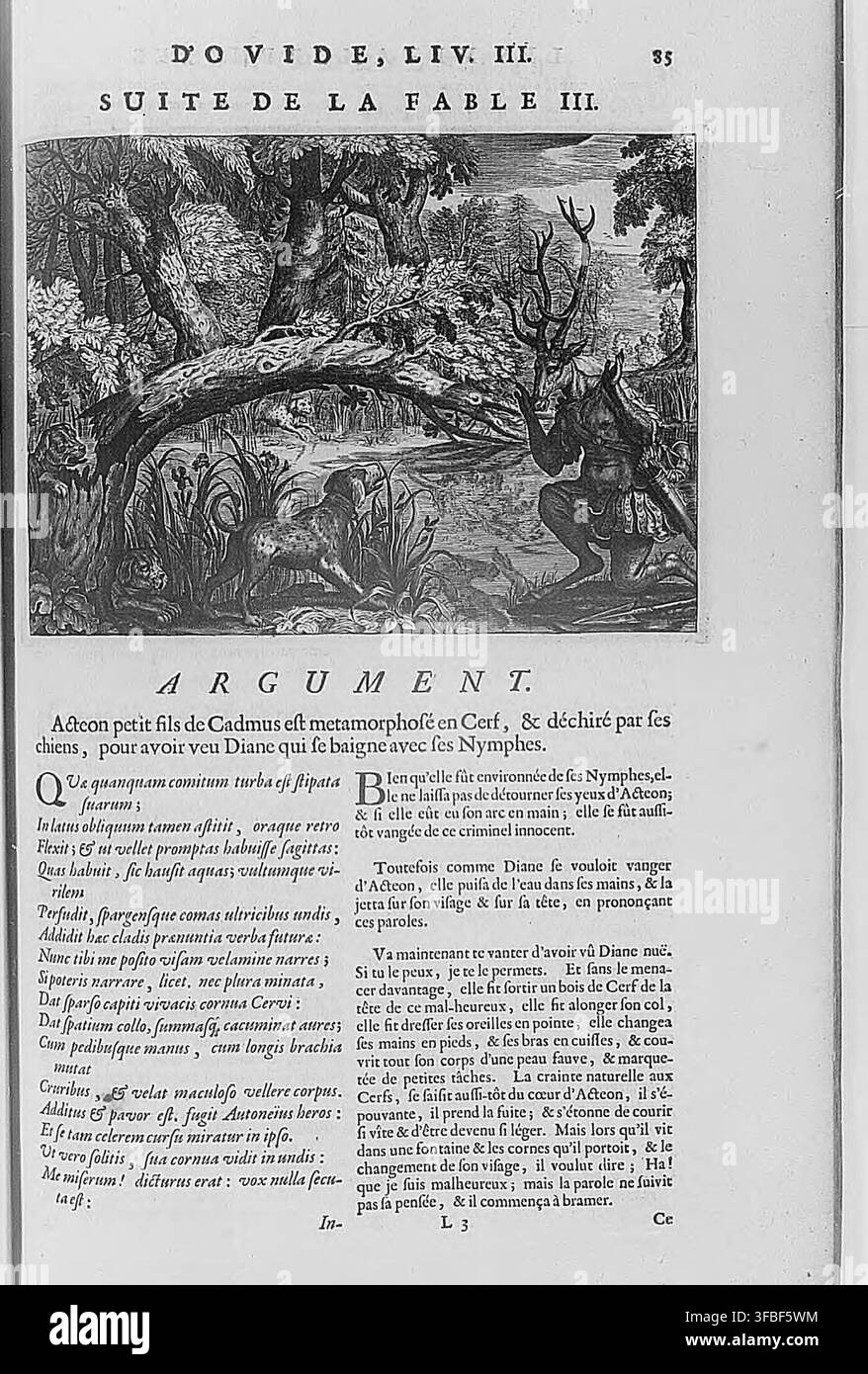 Una pagina di un libro del 1702 contenente una favola e un argomento, con testo delle Metamorfosi di Ovidio, in particolare la storia di Acteone, trasformato in un cervo e ucciso dai suoi stessi cani dopo aver visto la dea Diana fare il bagno con le ninfe. Foto Stock
