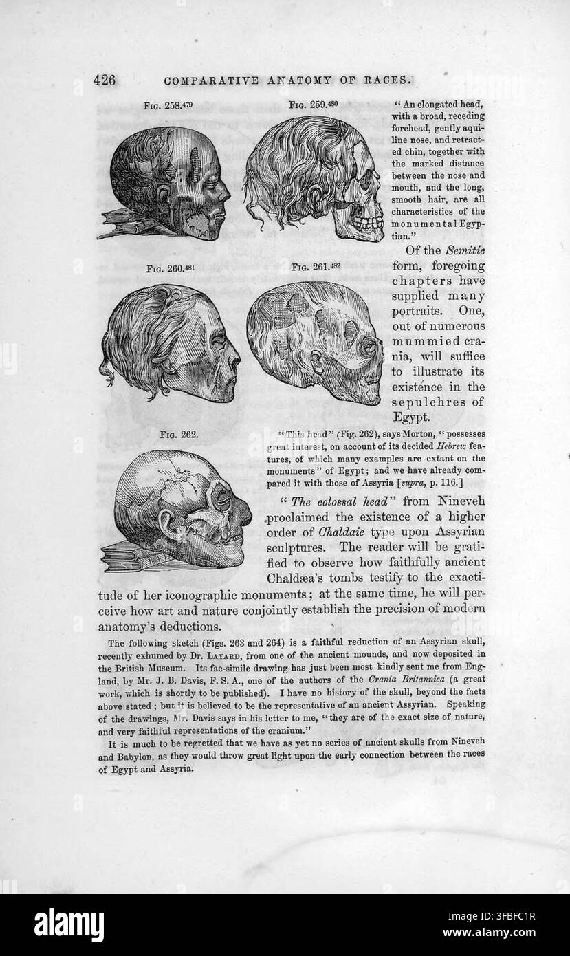 Una pagina di un libro sull'anatomia comparata, pubblicato nel 1854, che discute le caratteristiche di diverse razze, comprese le forme monumentali egiziane e semitiche. Foto Stock