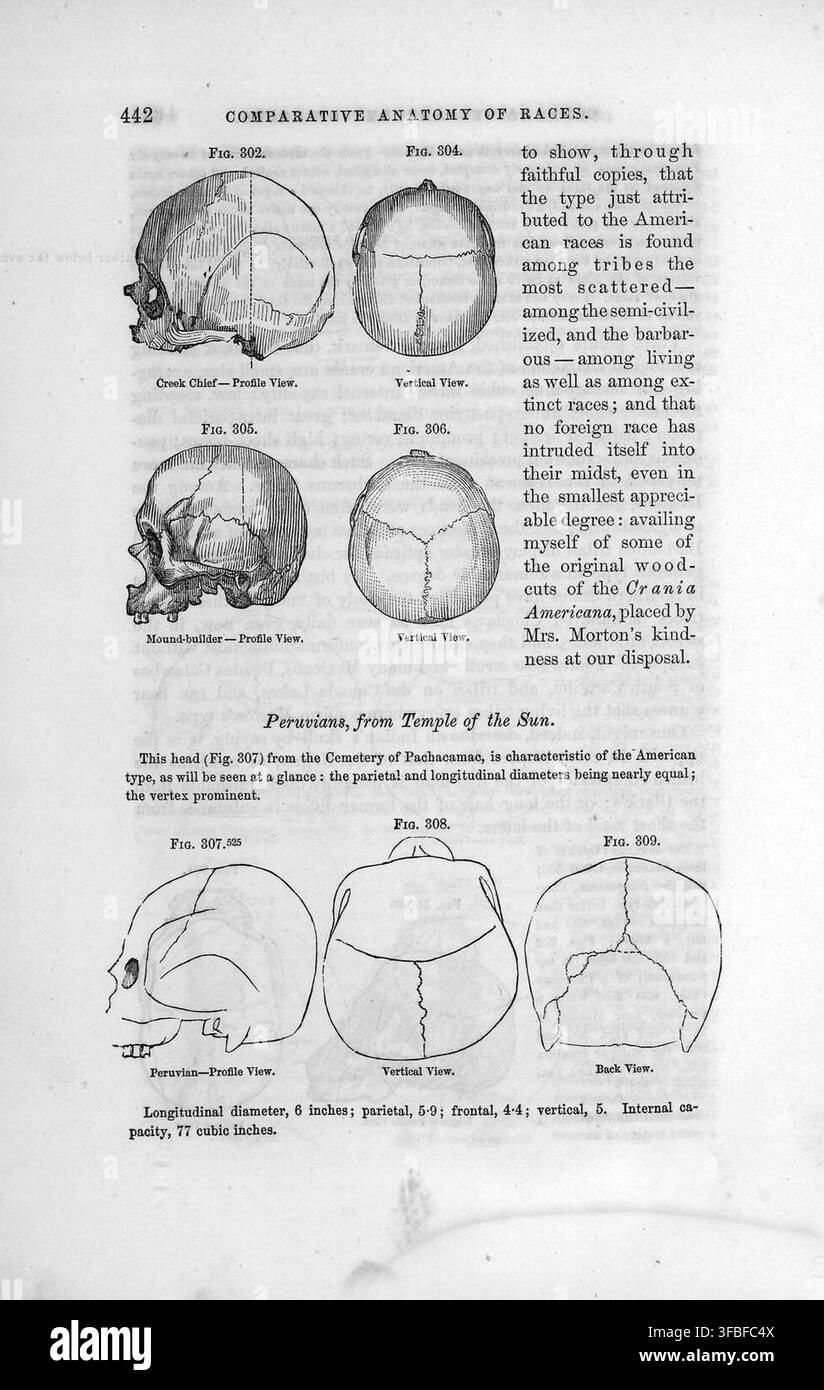 Una pagina di un libro, datata 1854, che confronta l'anatomia di diverse razze, incluso un capo Creek, con viste di profilo e verticali. Foto Stock