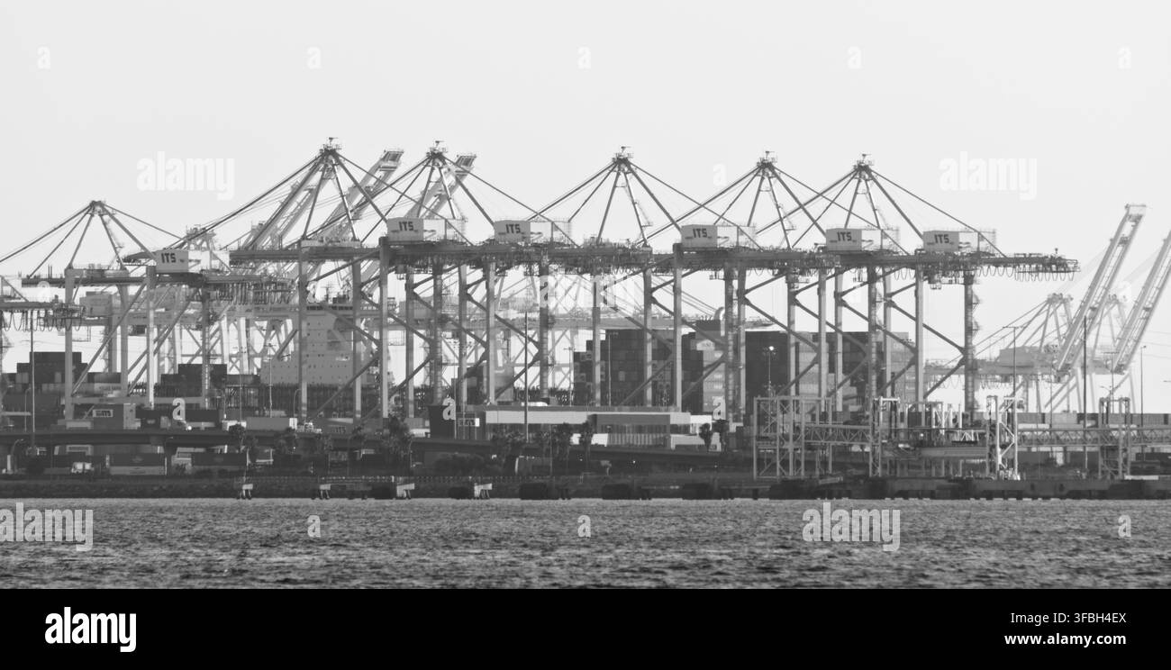 Grane per container e carichi impilati riempiono lo skyline del porto di Long Beach lungo il lungomare del porto. Foto Stock