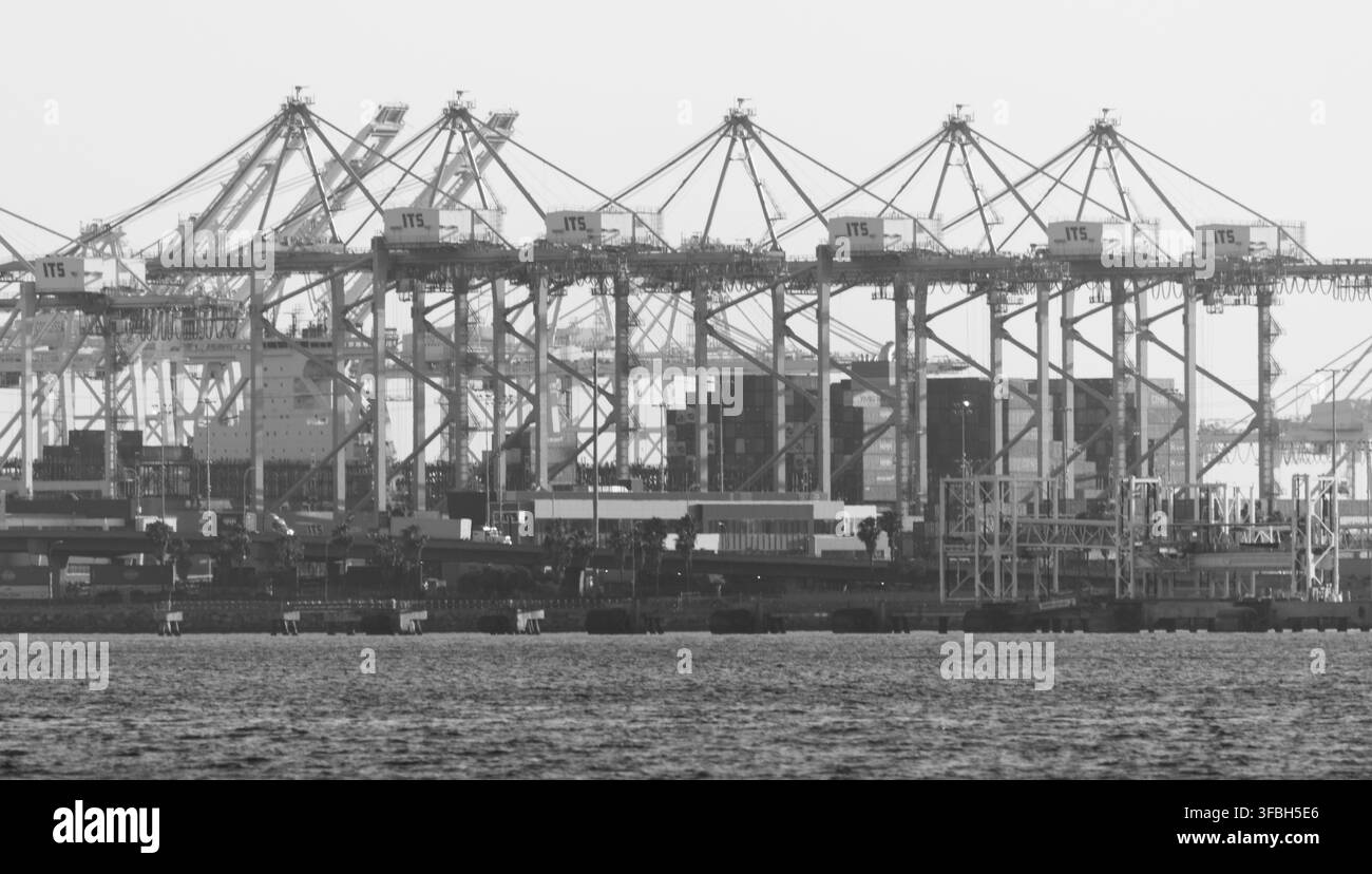 Grane per container e carichi impilati riempiono lo skyline del porto di Long Beach lungo il lungomare del porto. Foto Stock
