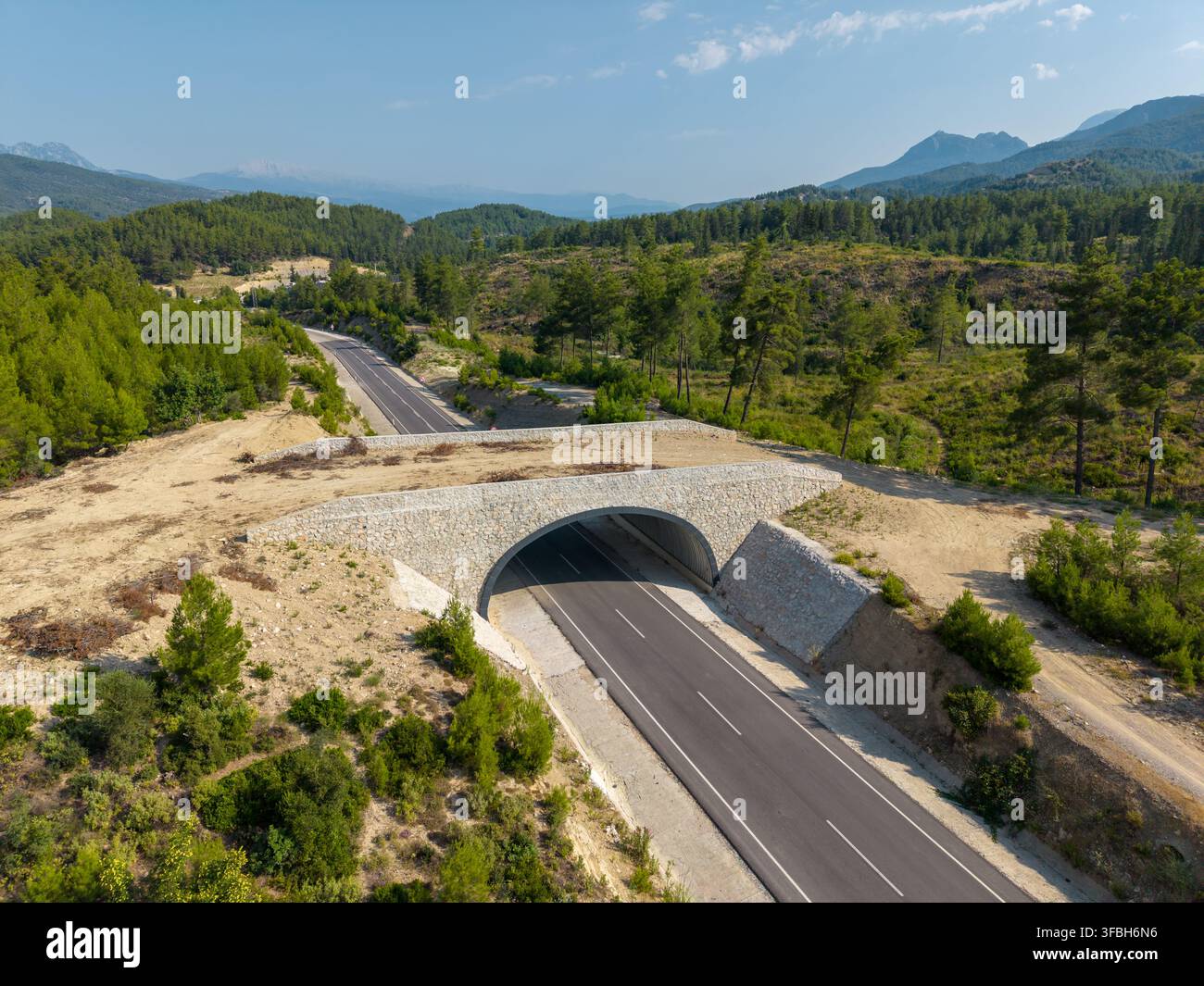 Ponte ecologico fornisce un passaggio alla fauna selvatica sopra una strada di montagna rurale Foto Stock