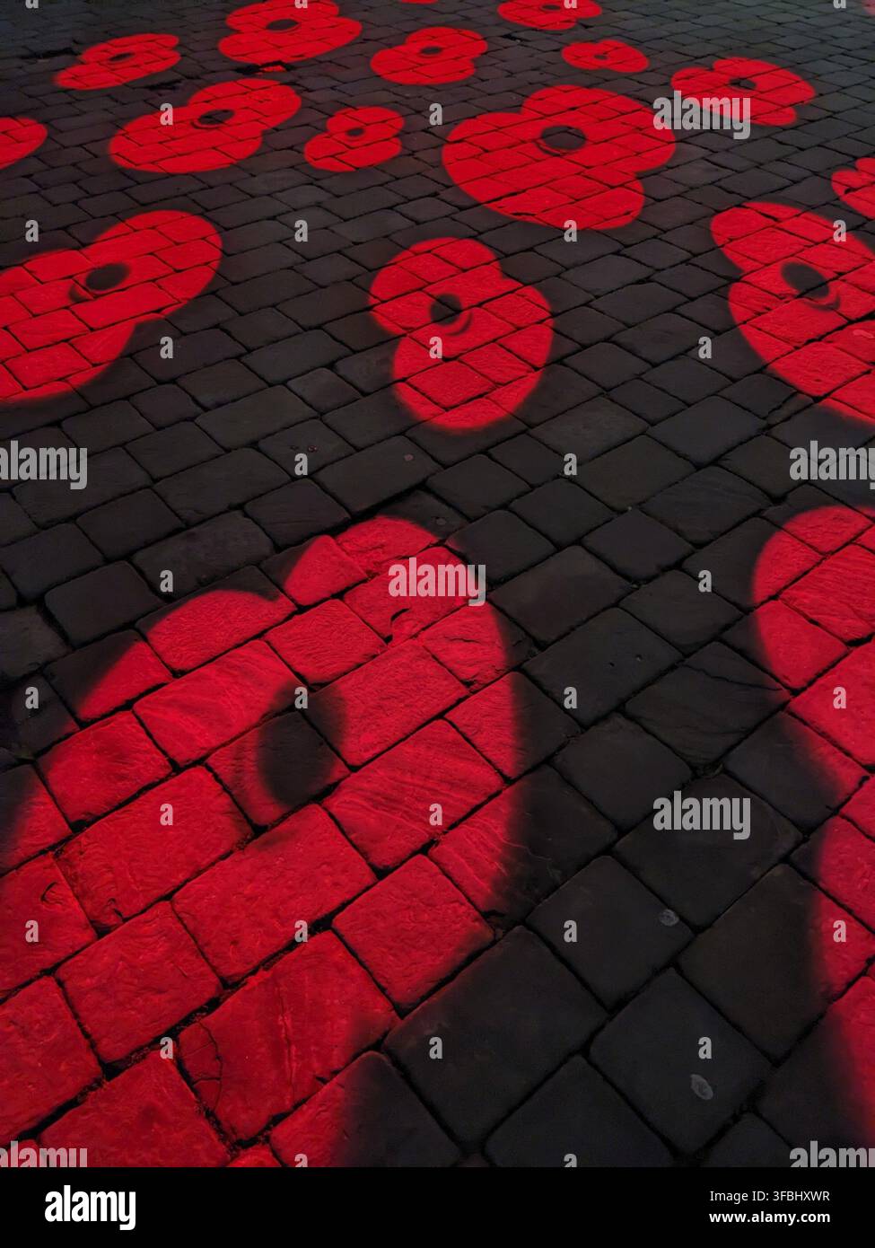 Immagini di papaveri proiettati su una strada acciottolata per l'Armistizio Day Foto Stock