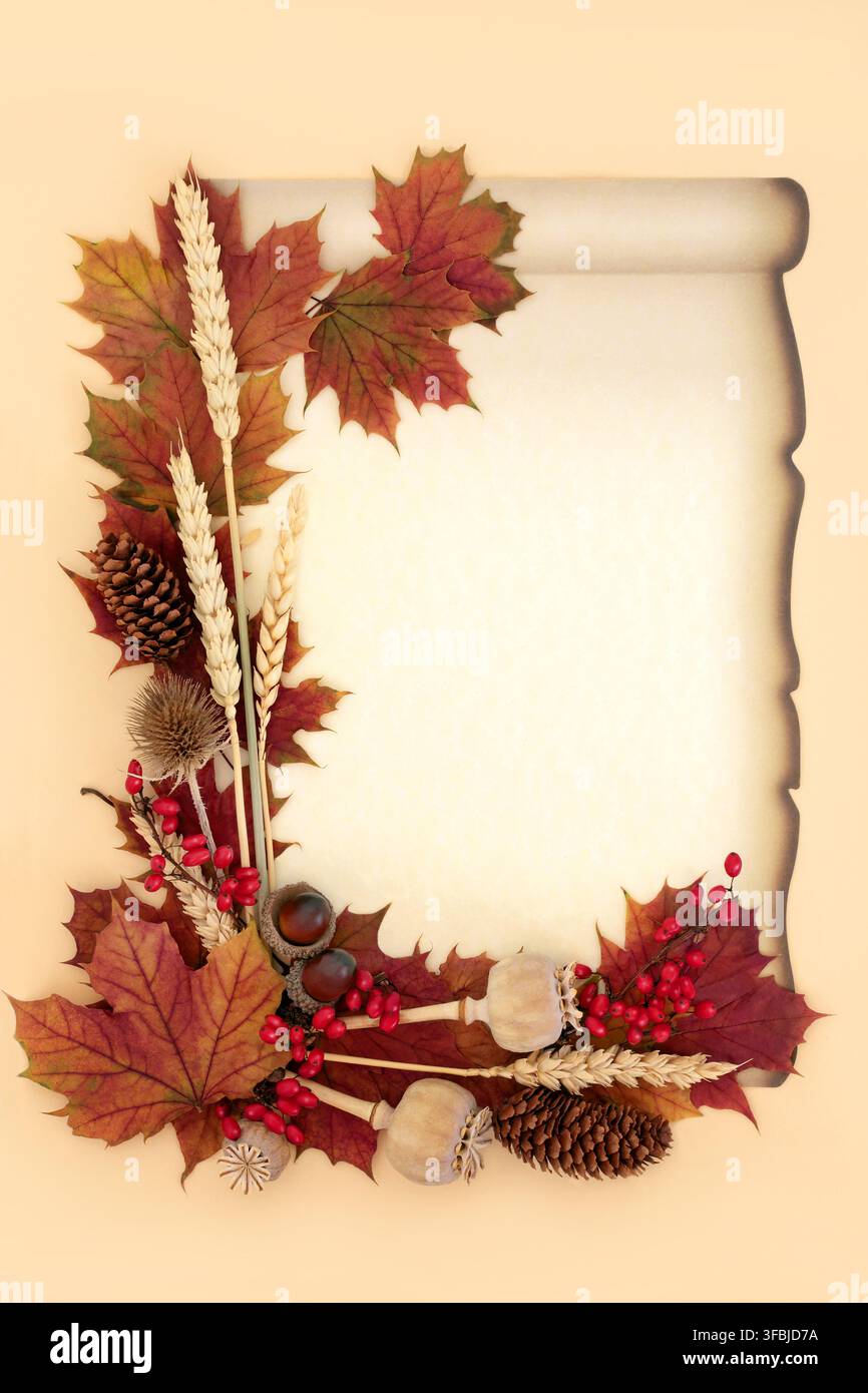 Simboli autunnali della natura, vivaci colori delle foglie d'acero, frutti di bacche rosse, grano, ghiande, pigne, teste di semi. Su pergamena di carta su sfondo color crema. Foto Stock
