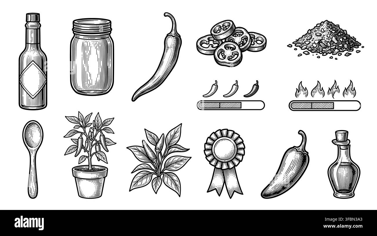 Set di icone di salsa piccante e peperoncino chili Illustrazione Vettoriale