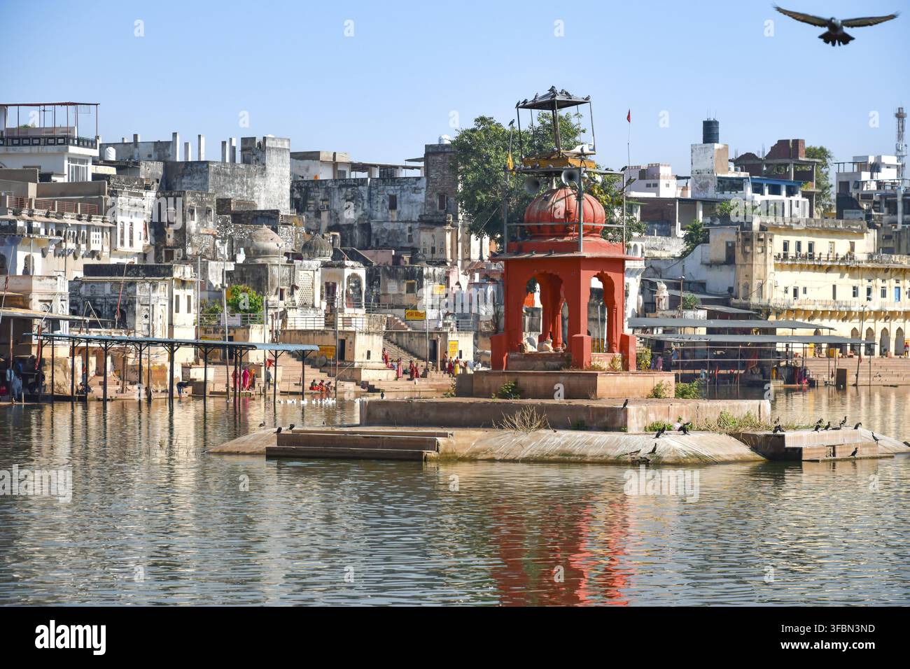 Immagine panoramica del lago Pushkar Sarovar, luogo di pellegrinaggio sacro per l'induismo nel Rajasthan, India Foto Stock