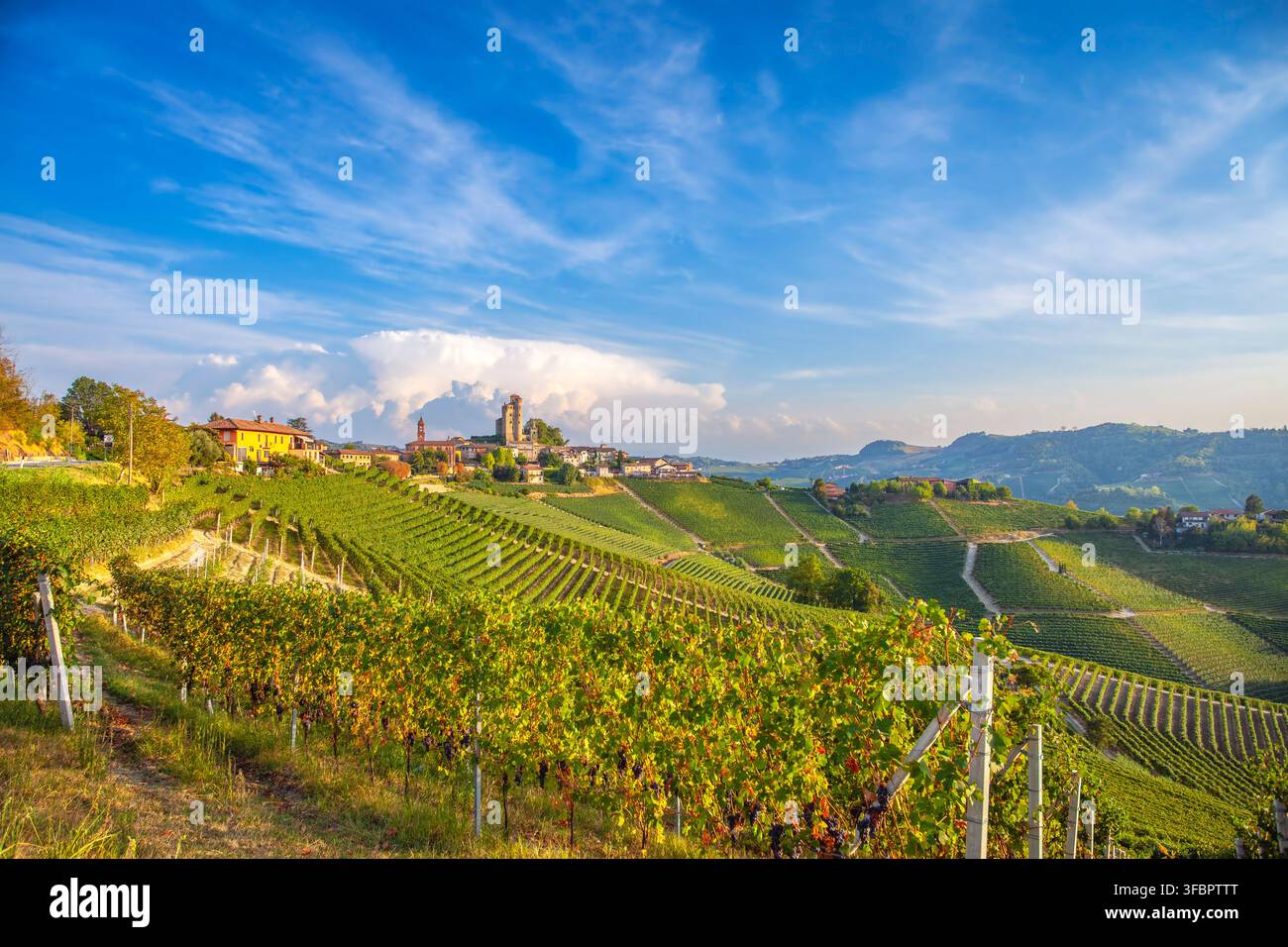 Il villaggio di Serralunga d'Alba circondato dai vigneti del Barolo, al tramonto estivo. Immagine a colori. Foto Stock