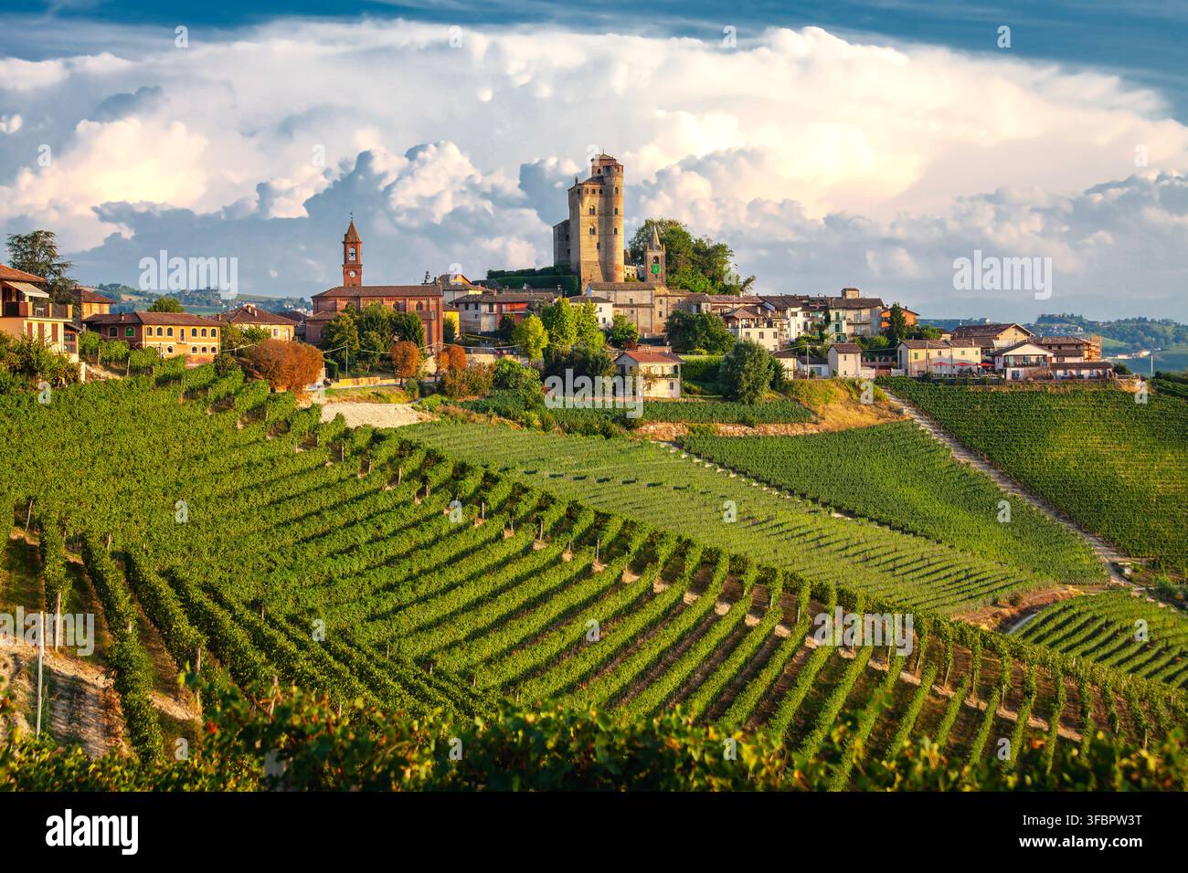 Il villaggio di Serralunga d'Alba circondato dai vigneti del Barolo, al tramonto estivo. Immagine a colori. Foto Stock