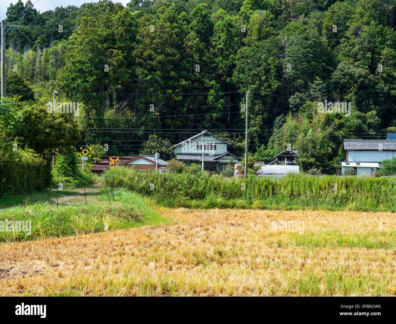 Passaggio a livello di classe 4 senza barriere o segnali di avvertimento sulla ferrovia Tenryu Hamanako a Shimonobe, Iwata, Shizuoka, Giappone, il 24 agosto 2026. Foto Stock