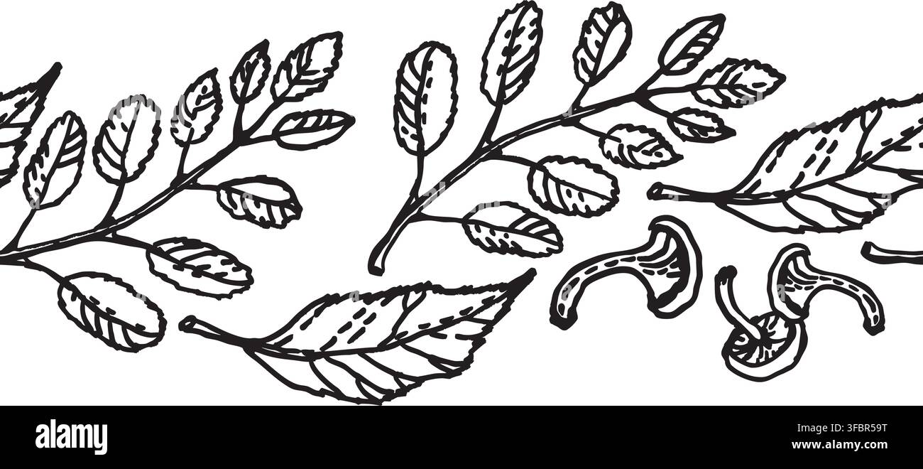 Illustrazione vettoriale di un bordo senza cuciture con foglie di sorbo autunnali e funghi al miele Illustrazione Vettoriale