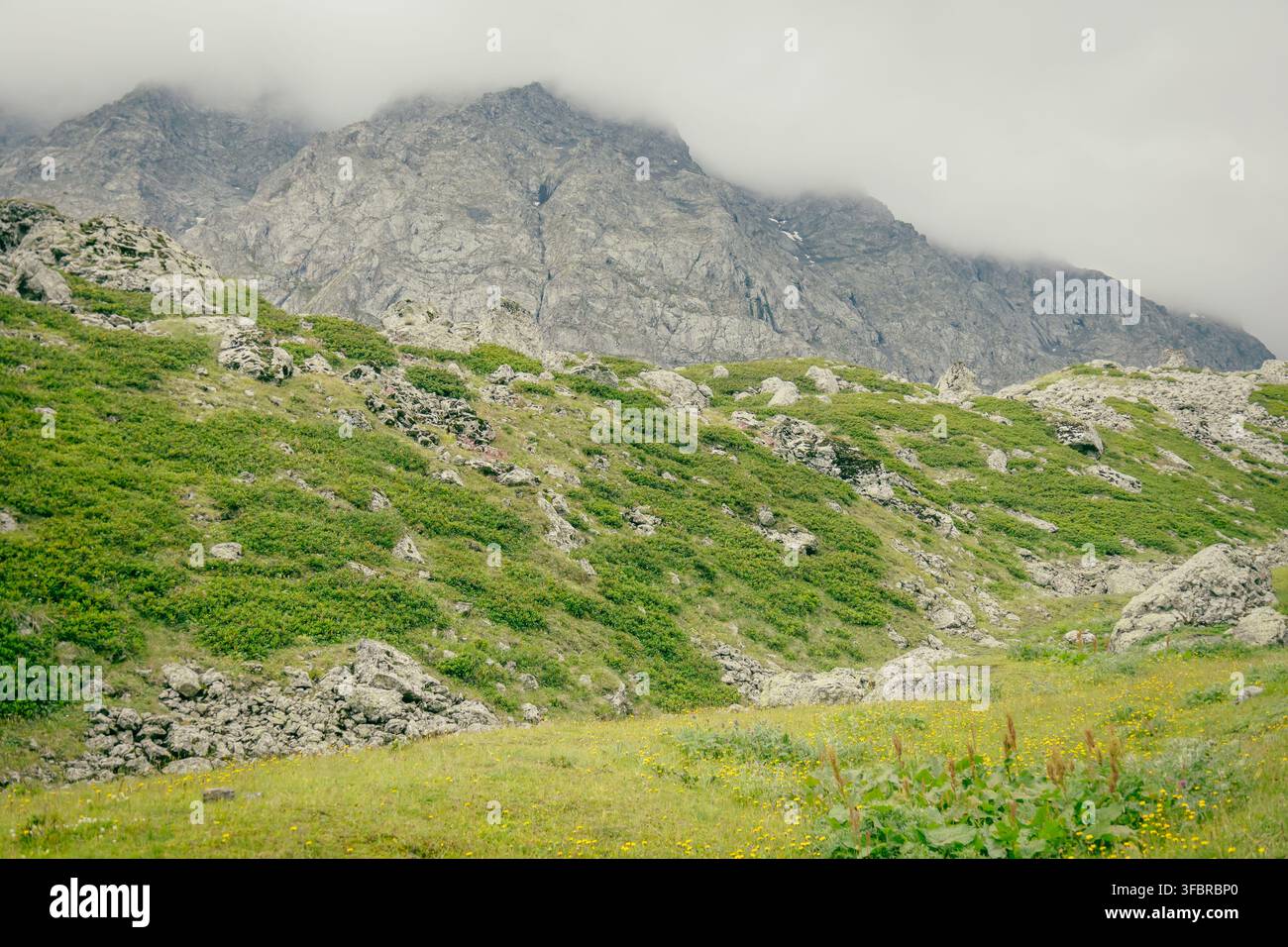 Una cresta rocciosa coperta di nuvole si erge sopra un prato fiorito verde nell'area di Abudelauri in Georgia, trasmettendo la bellezza quieta, aspra e atmosferica Foto Stock