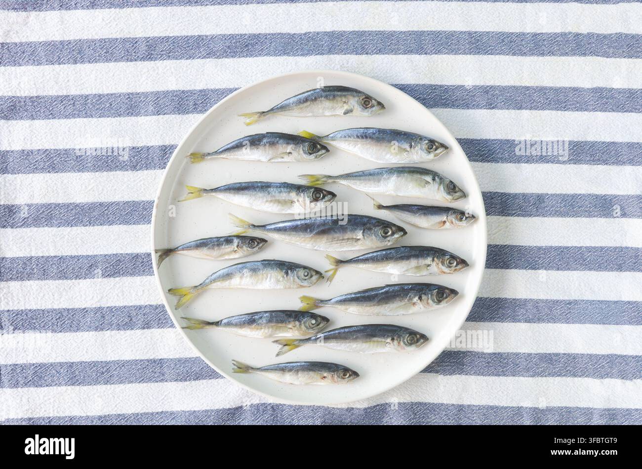 Sarde fresche sono disposte su un grande piatto bianco su una tovaglietta a strisce bianche e blu, che contrasta piacevolmente con il colore del pesce. Pesce fresco. Frutti di mare. Foto Stock